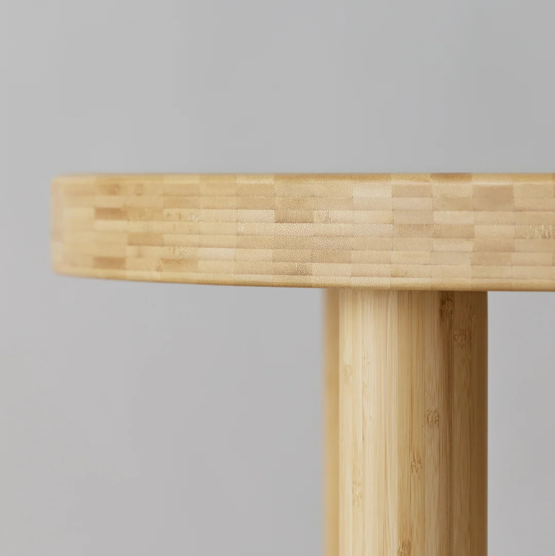 PILLAR round table